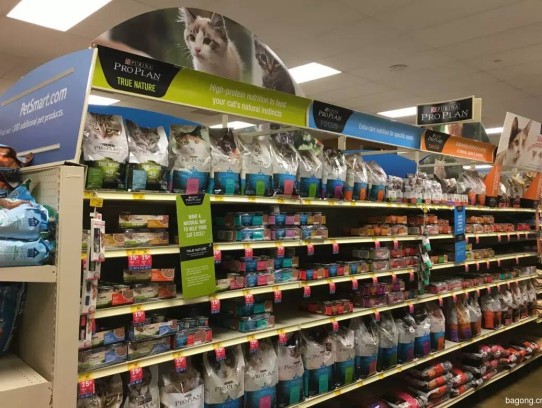  Discover the Best Pet Supermarket in St. Augustine: Your One-Stop Shop for All Pet Needs