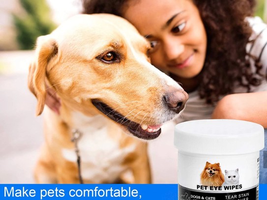  Discover the Ultimate Pet Paradise at Mark's Ark Pet Store Utah: Your One-Stop Shop for All Your Pet Needs