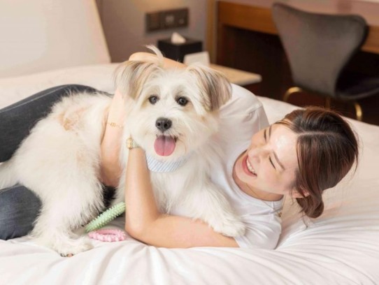 # Discover the Best Pet Friendly Hotel Appleton WI for Your Next Getaway!